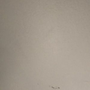 Meet your Posher, Darryl